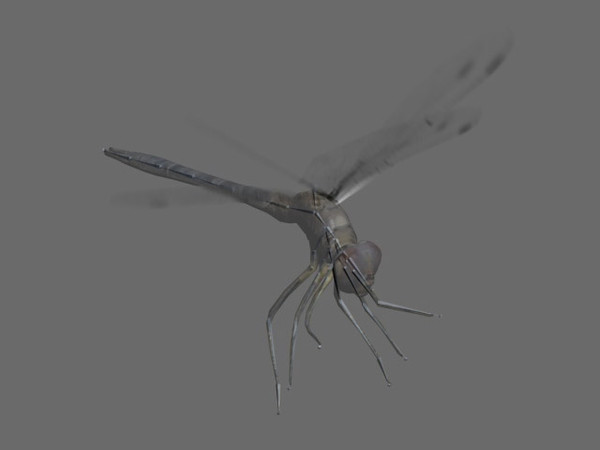dragonfly character animation 3d max - DragonFly by 3dfer